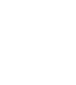 The Artist